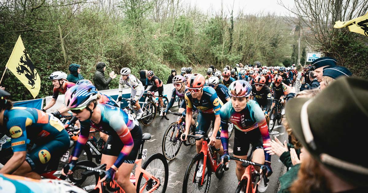 Longo equals record with second victory Ronde van Vlaanderen